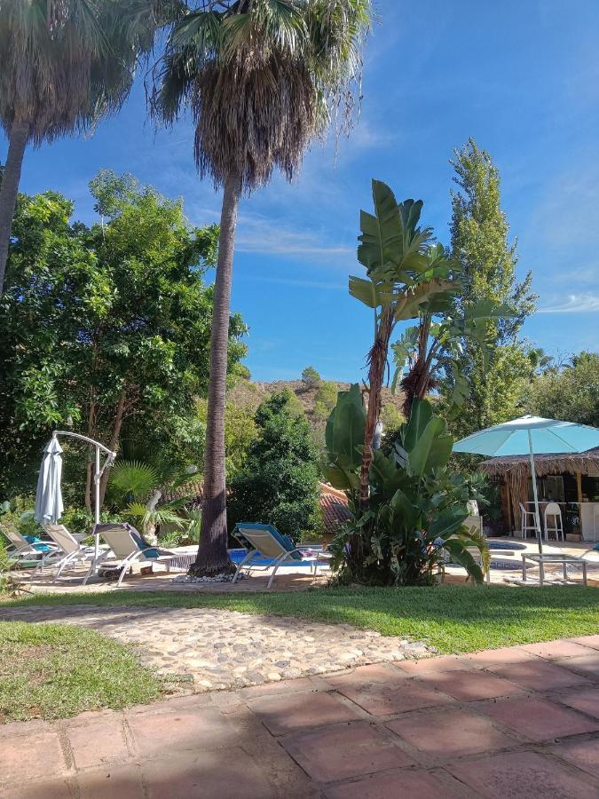 La Fuente Oase B&B Coín Екстериор снимка