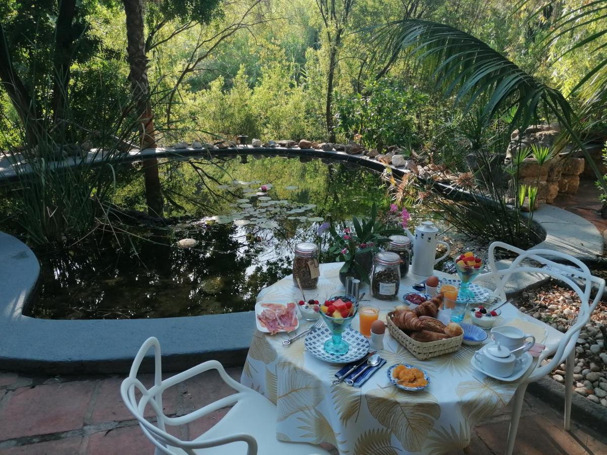 La Fuente Oase B&B Coín Екстериор снимка
