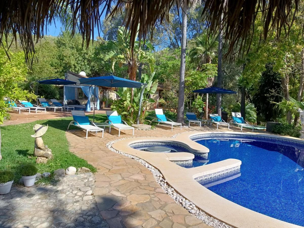 La Fuente Oase B&B Coín Екстериор снимка